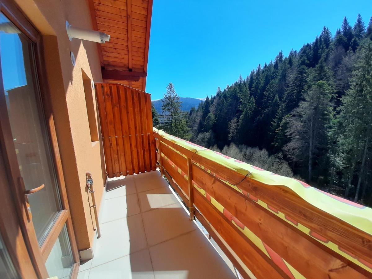 Kalinderu Skier'S Apartament Bellevue Busteni Exterior photo