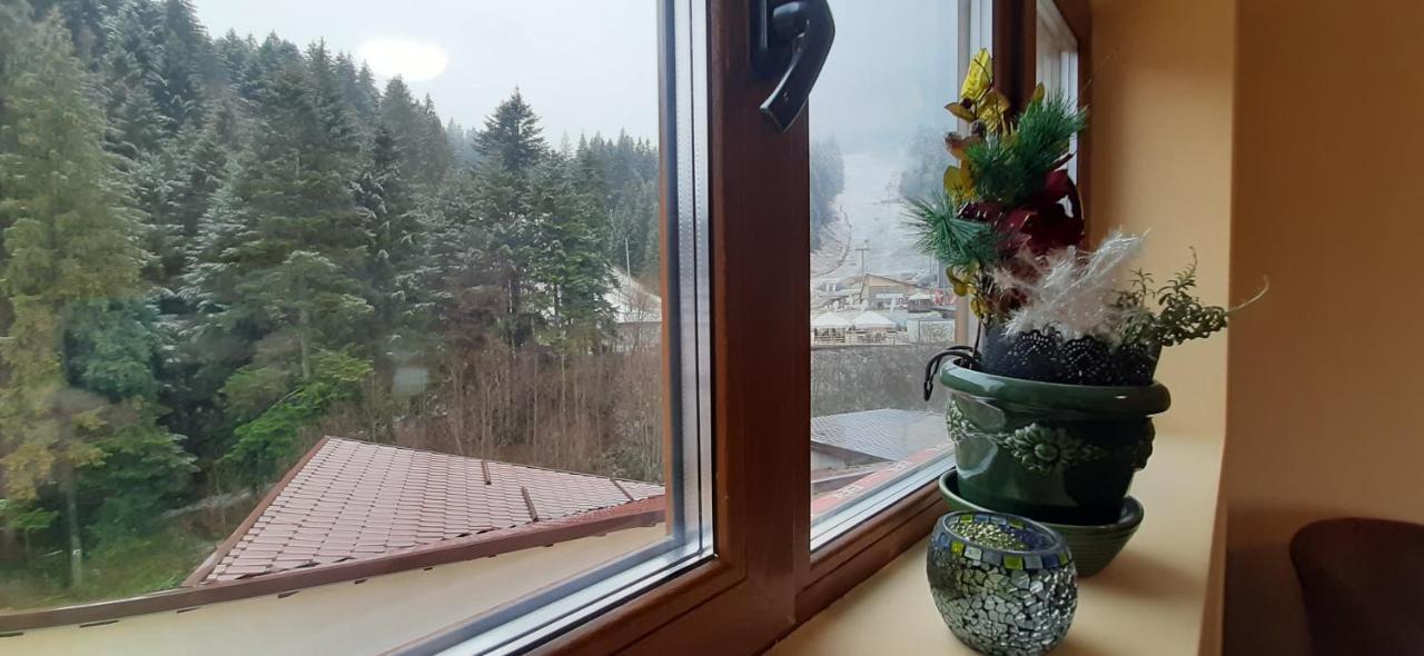 Kalinderu Skier'S Apartament Bellevue Busteni Exterior photo